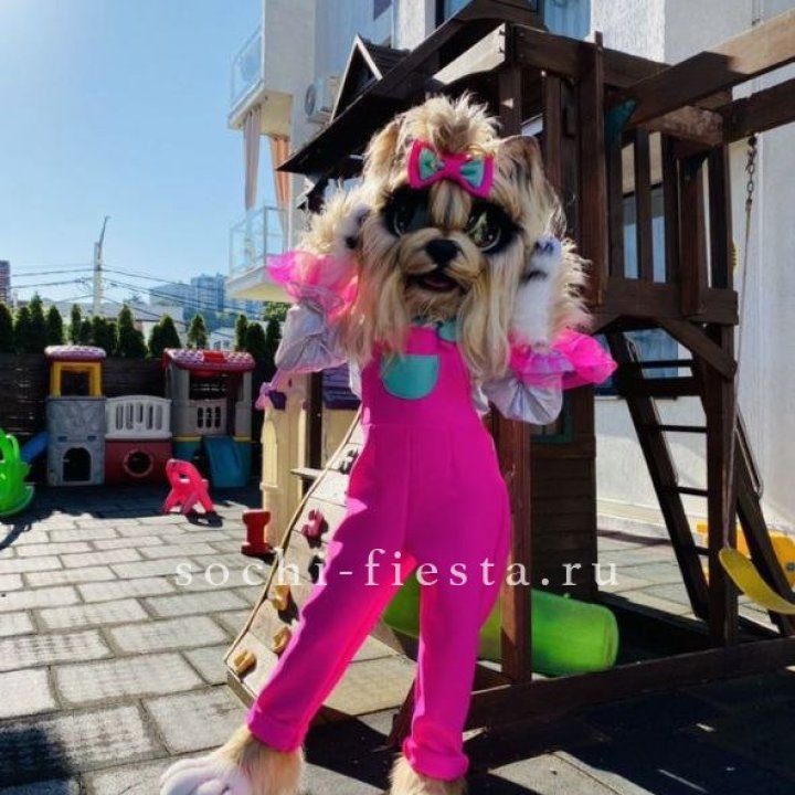 Аниматор Гламурная Собака в Балашихе