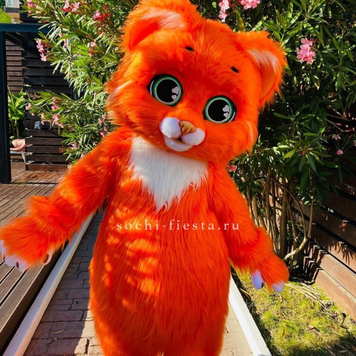 Аниматор Котик в Балашихе