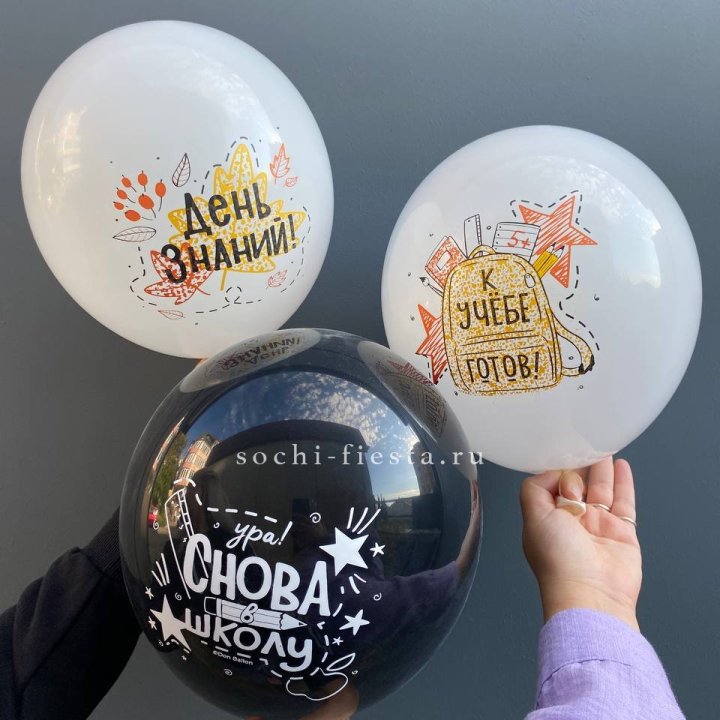 Воздушный шар к 1 сентября в Балашихе
