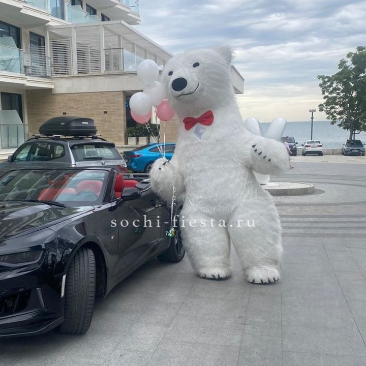 Аниматор Белый Медведь в Балашихе