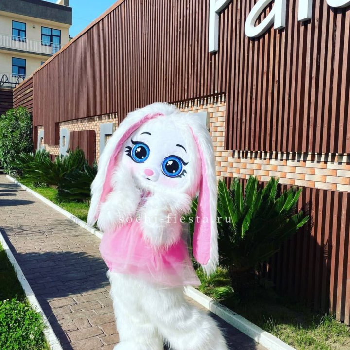 Аниматор Зайка в Балашихе