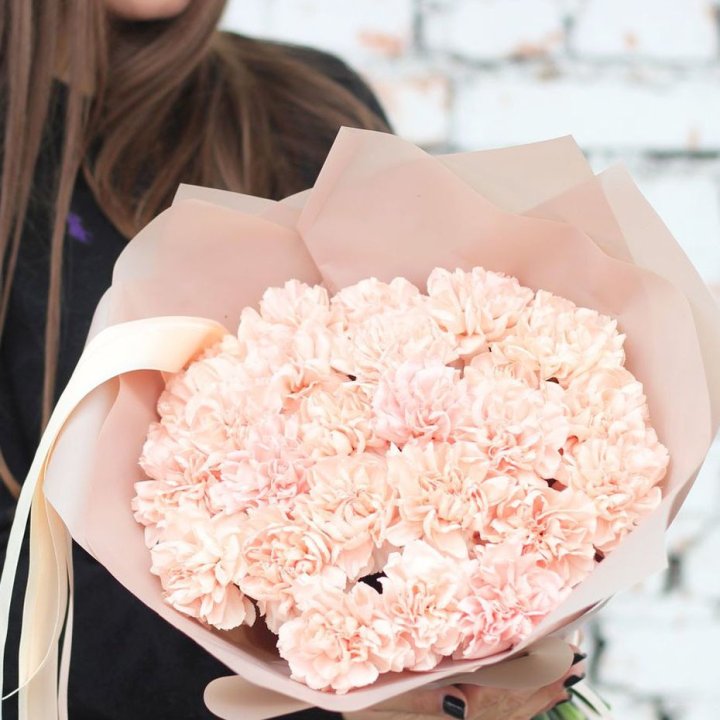 Диантусы №2 в Балашихе