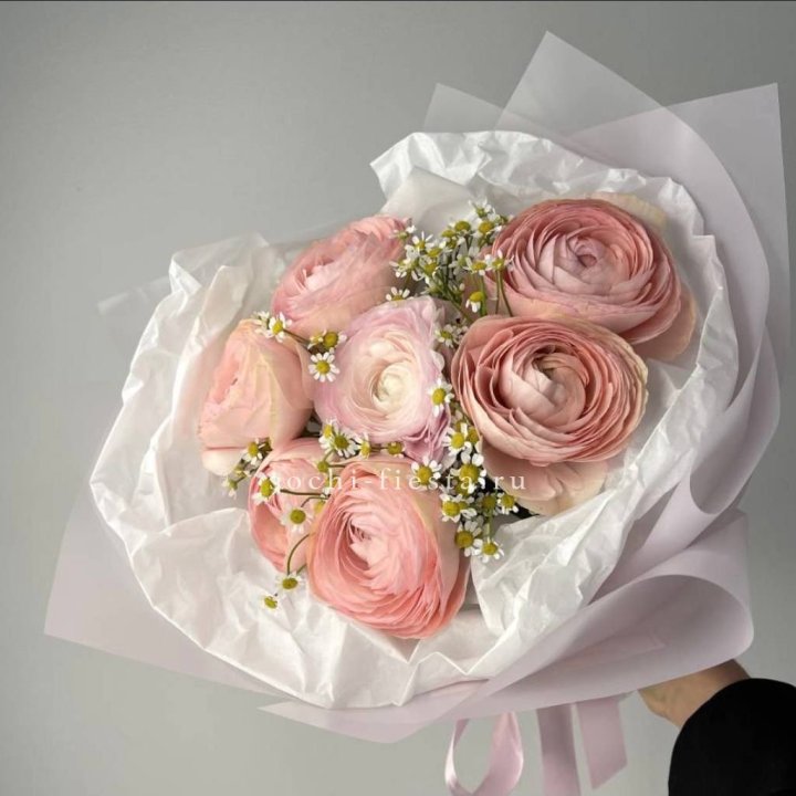 Ранункулюсы с ромашками в Балашихе