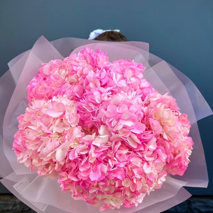 9 ярко розовых гортензий в Балашихе