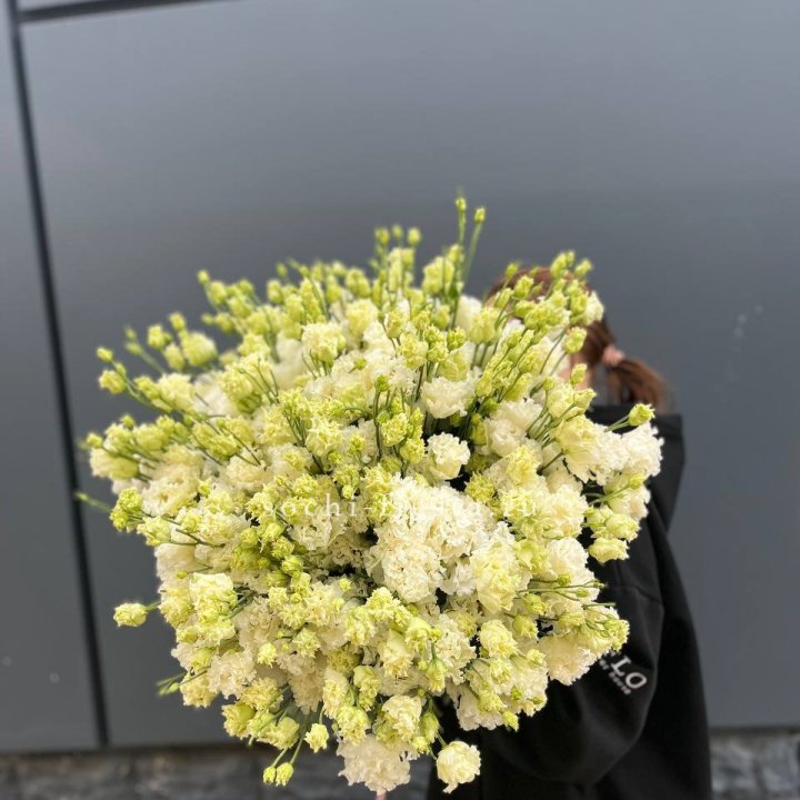 51 белая эустома в Балашихе