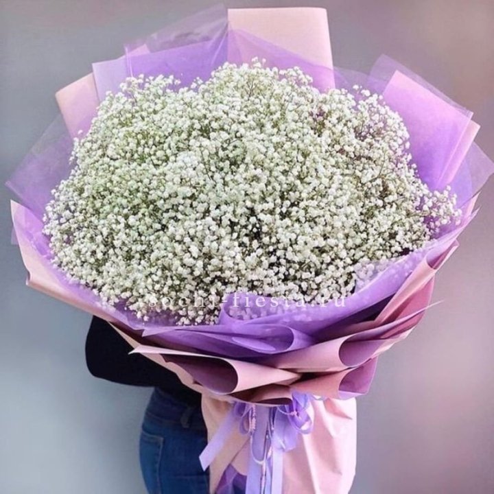 Облако белых гипсофил в Балашихе