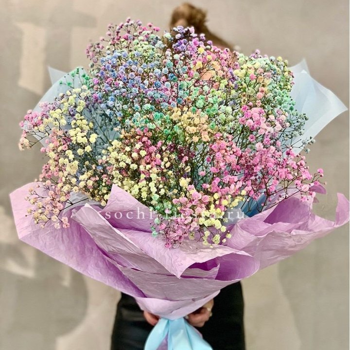 Радужные гипсофилы №2 в Балашихе