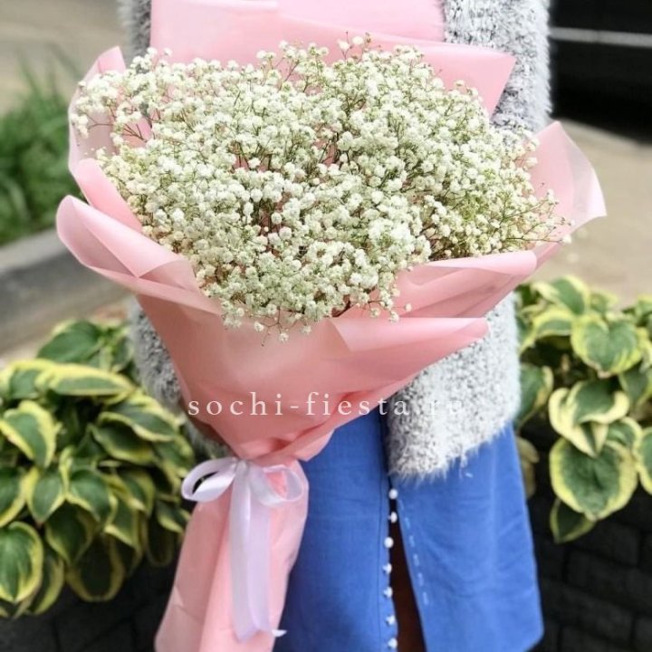 Белоснежные гипсофилы в Балашихе