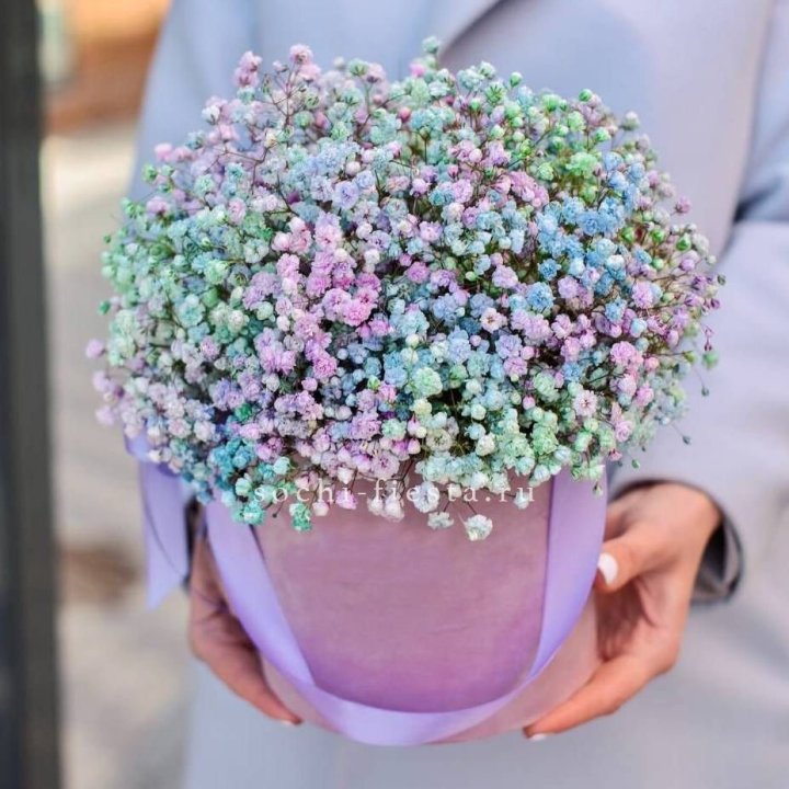 Гипсофилы в шляпной коробке "Кандилайт" в Балашихе