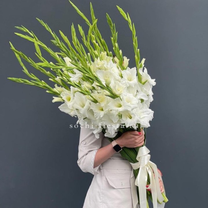 19 белых гладиолусов под ленту в Балашихе