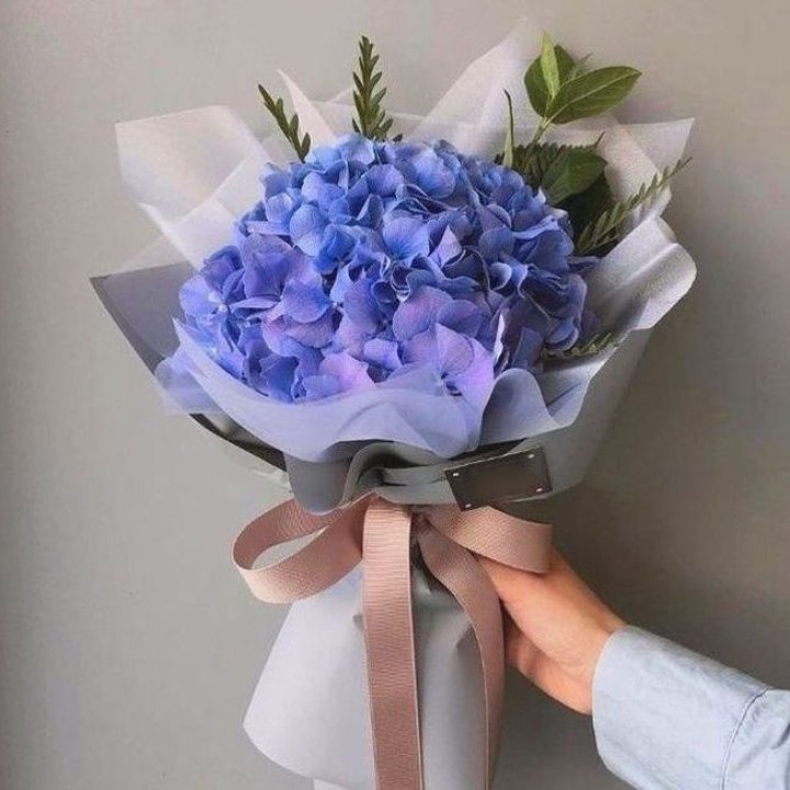 Гортензия голубая в Балашихе