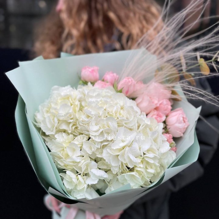 Гортензия "Жасмин" в Балашихе