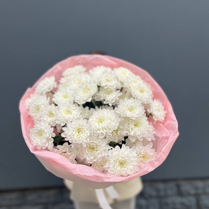  5 хризантем  в Балашихе