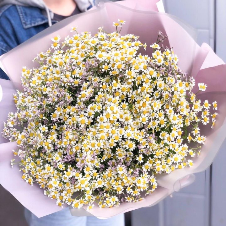 Букет ромашек №1 в Балашихе
