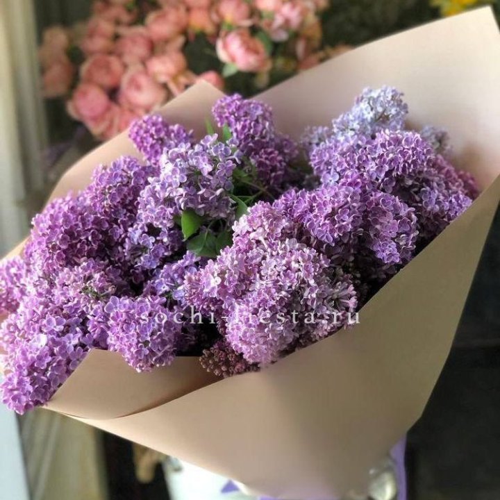 Букет сирени №2 в Балашихе