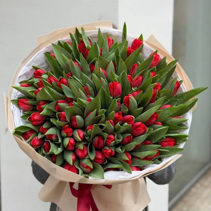 101 красный тюльпан в Балашихе