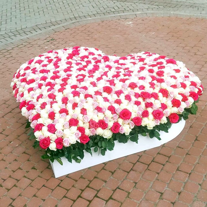 555 роза  в Балашихе