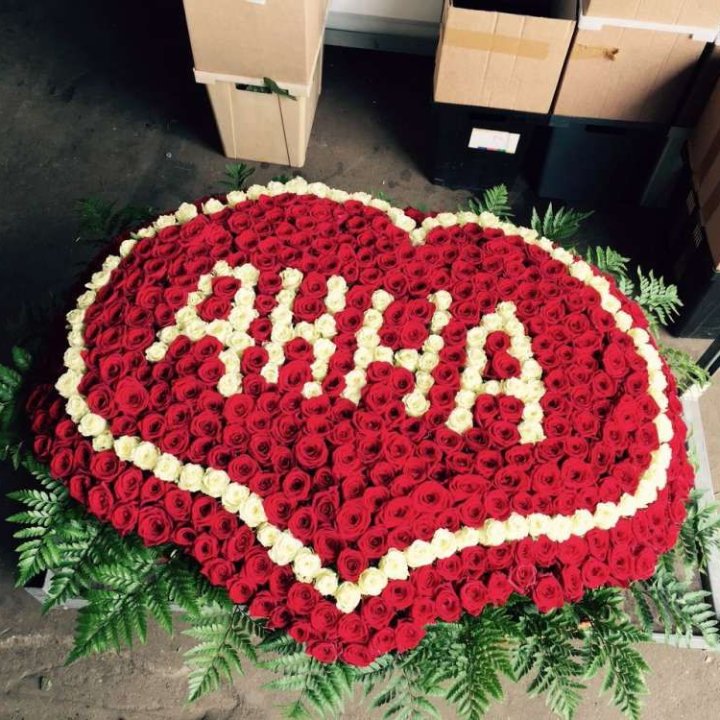 555 роз с именем в Балашихе