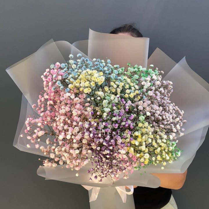 Радужные гипсофилы  в Балашихе