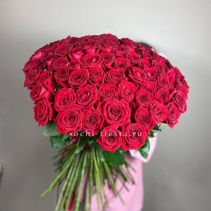 101  голландская роза  в Балашихе