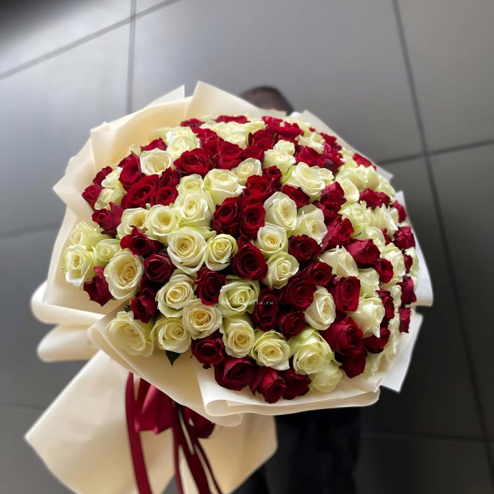 101 высокая импортная роза  в Балашихе