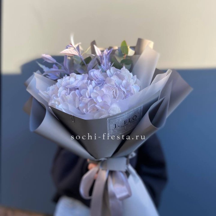 Гортензия "Виолета" в Балашихе