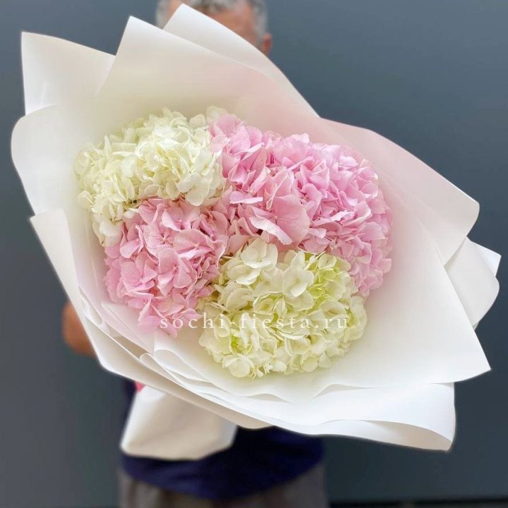Букет гортензий №5 в Балашихе