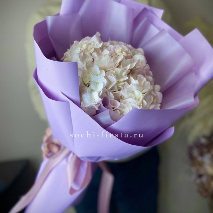 Гортензия розовая в Балашихе