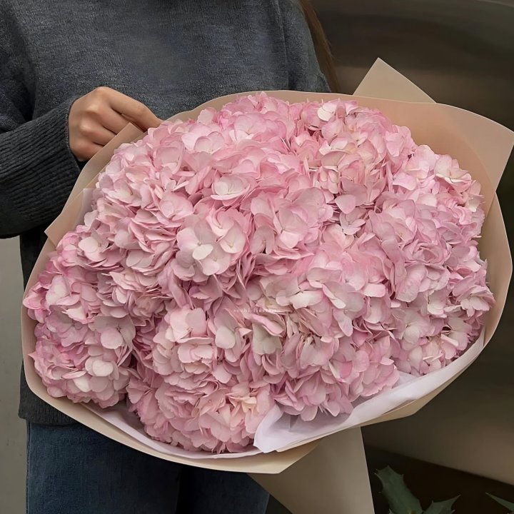 Гортензия  "РОЗЕ" в Балашихе