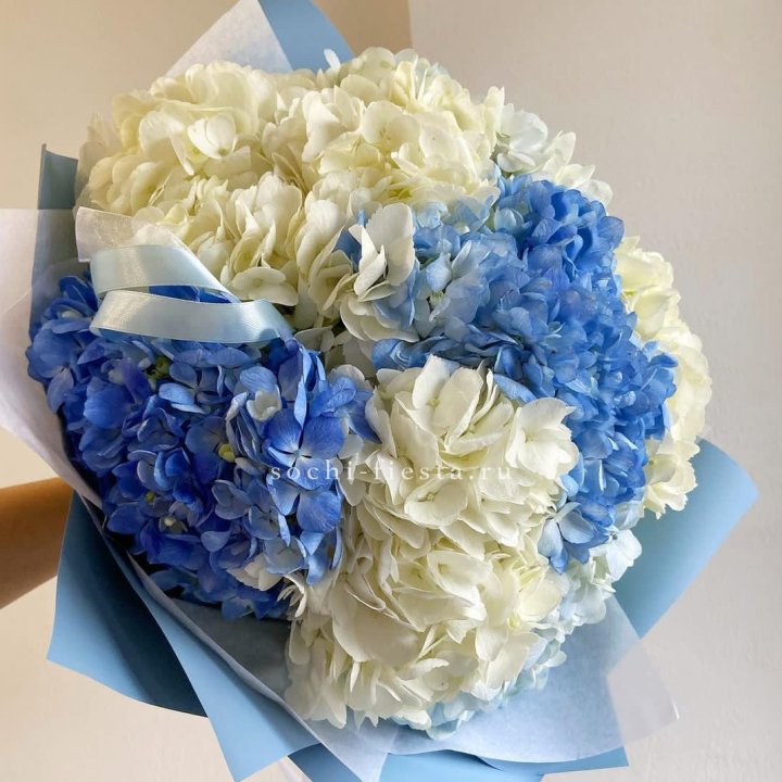 Букет гортензий "Голубая лаза" в Балашихе