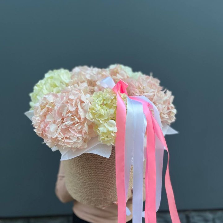 7 гортензий в кашпо в Балашихе