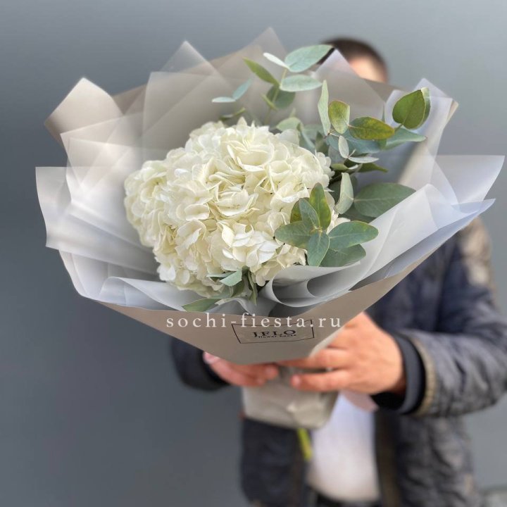  Букет  из белой гортензии в Балашихе