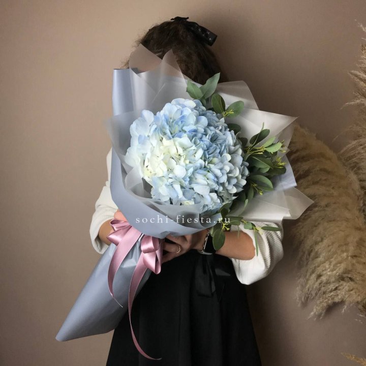 Гортензия Уно в Балашихе