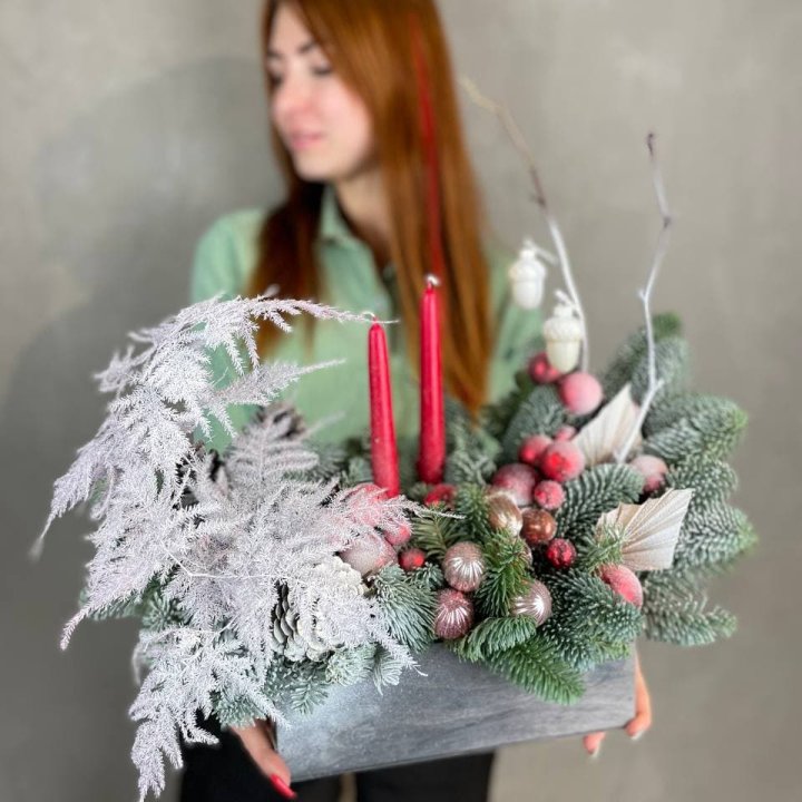 Бокс красный с нобилисом в Балашихе