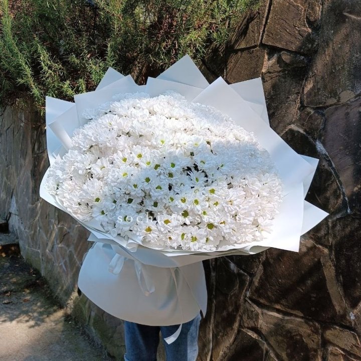 Облако хризантем №2 в Балашихе