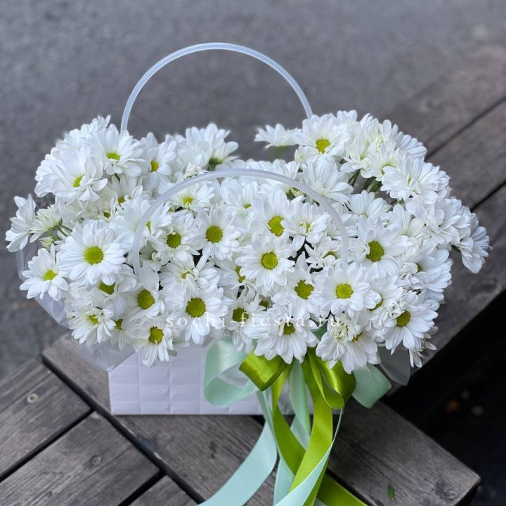 Сумка с хризантемами ромашками в Балашихе