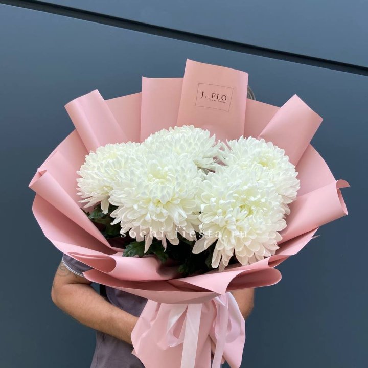 Профитроли №2 в Балашихе