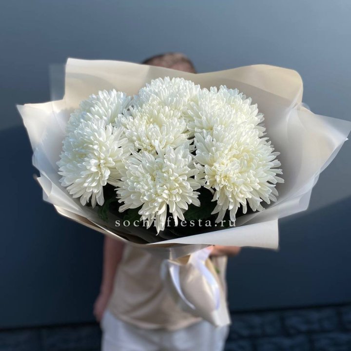 Профитроли в Балашихе