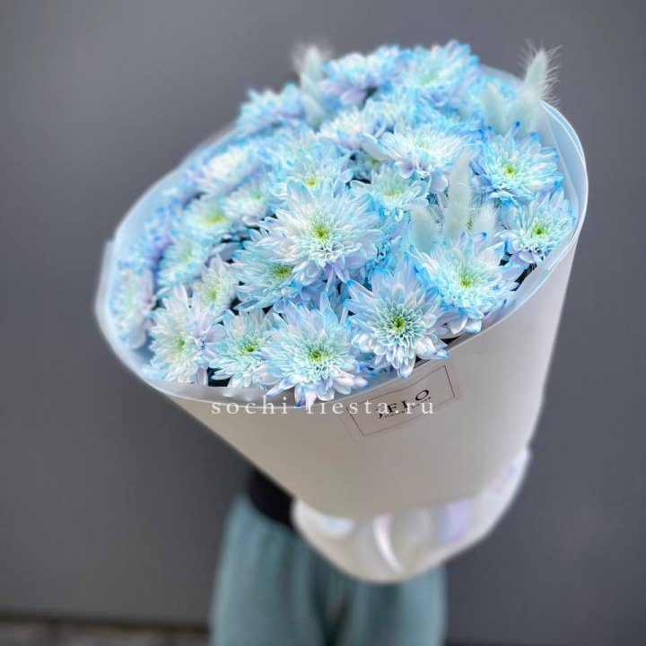  Букет нежно-голубых хризантем  в Балашихе