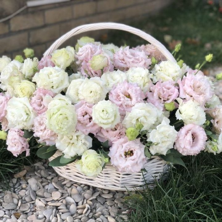 Корзина с эустомой в Балашихе