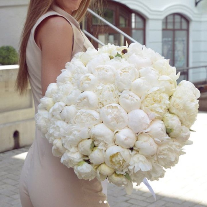 51 белый пион в Балашихе