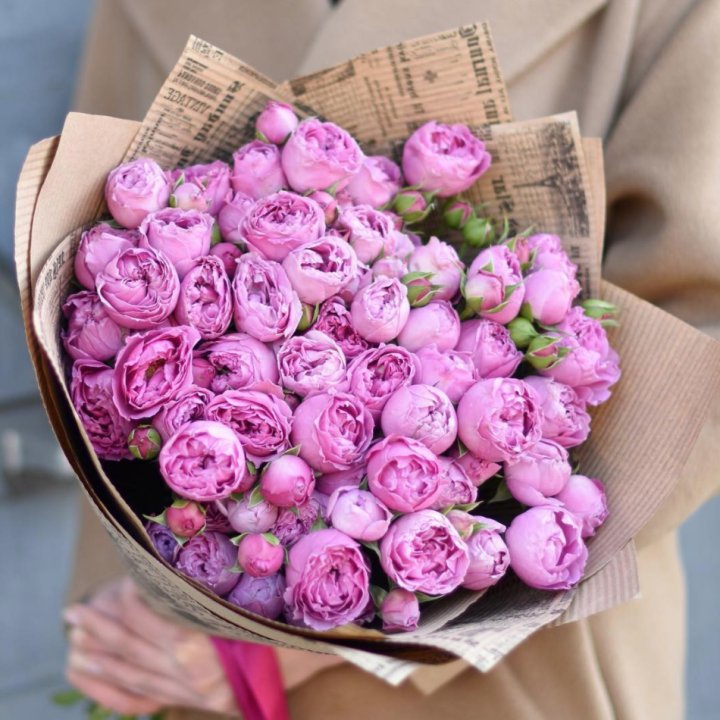 Роза Мисти Баблс в Балашихе