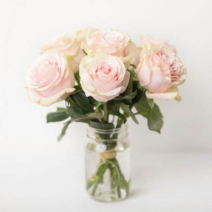 7 кремовых роз в Балашихе