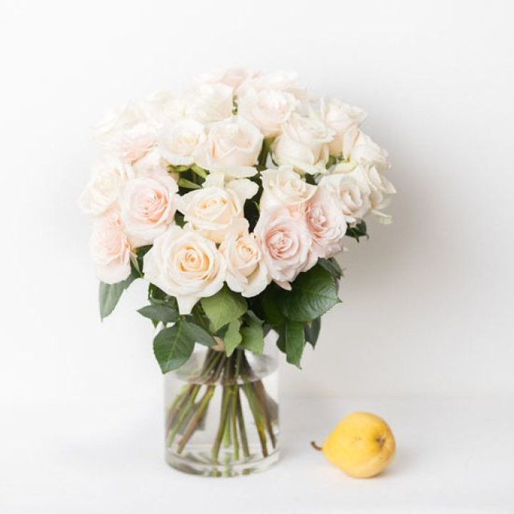 25 кремовых роз в Балашихе