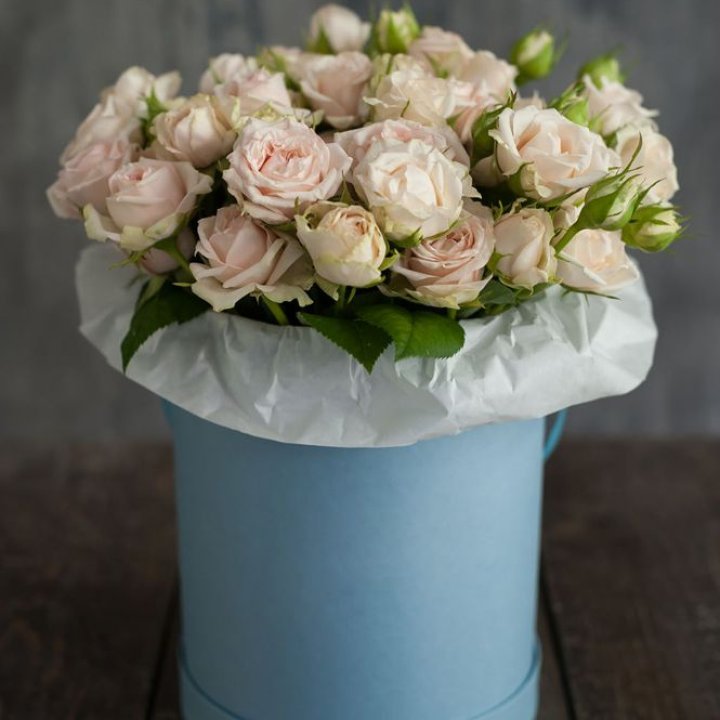 Бокс с бомбастиком в Балашихе