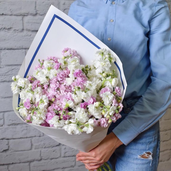 Маттиола в Балашихе