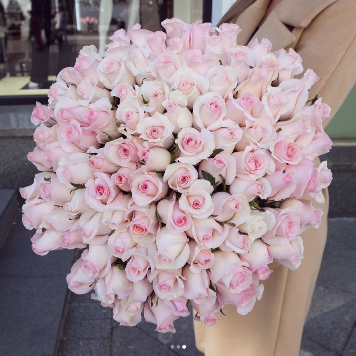 Розы "Пинк бум" в Балашихе