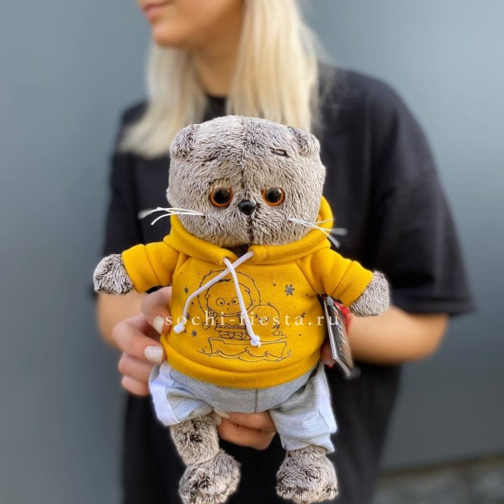 Кот Басик в худи в Балашихе