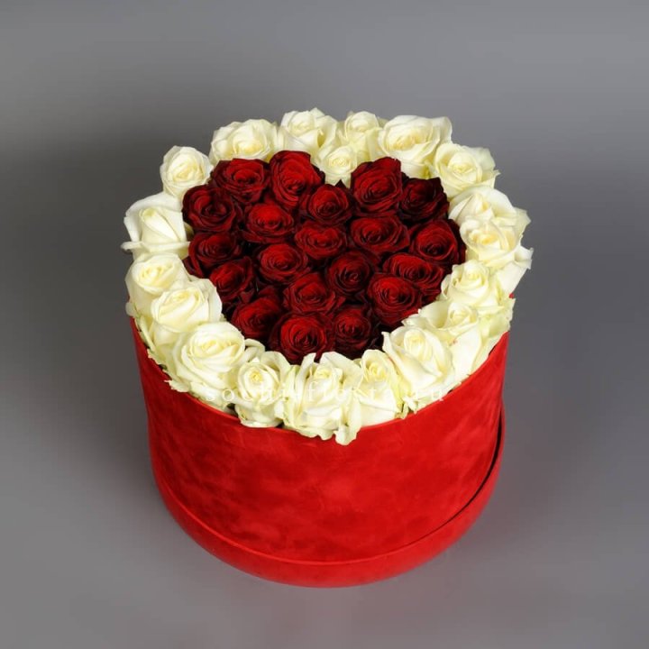 39 красных и белых роз в цилиндре в Балашихе