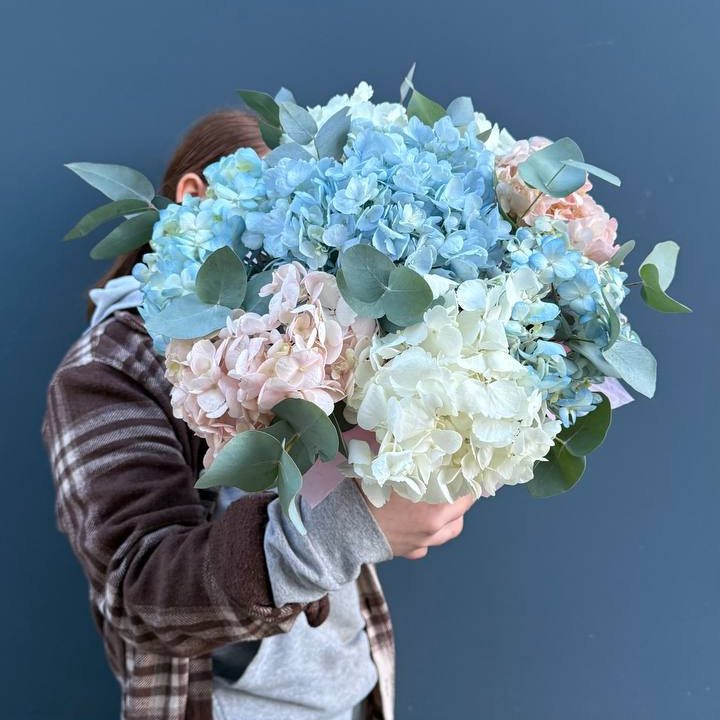 Гортензии в коробочке в Балашихе